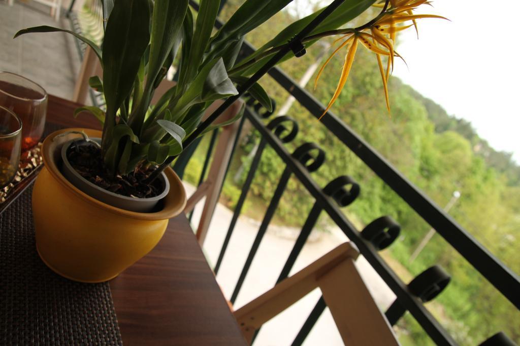 Apartments Strmac สลูน ภายนอก รูปภาพ